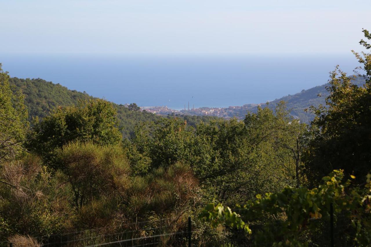 Casa Mari Villa Pontedassio Bagian luar foto